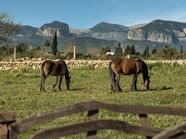 Finca/Casa Rural de 5 habitaciones en Sencelles en venta con piscina - 1.550.000 € (Ref: 9568895)