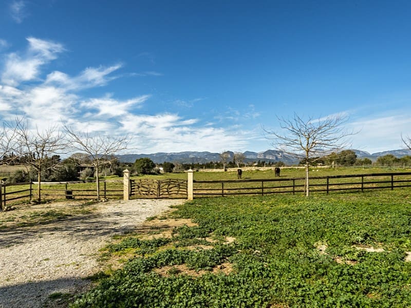 5 bedroom Finca/Country House for sale in Sencelles with pool - € 1,550,000 (Ref: 9568895)