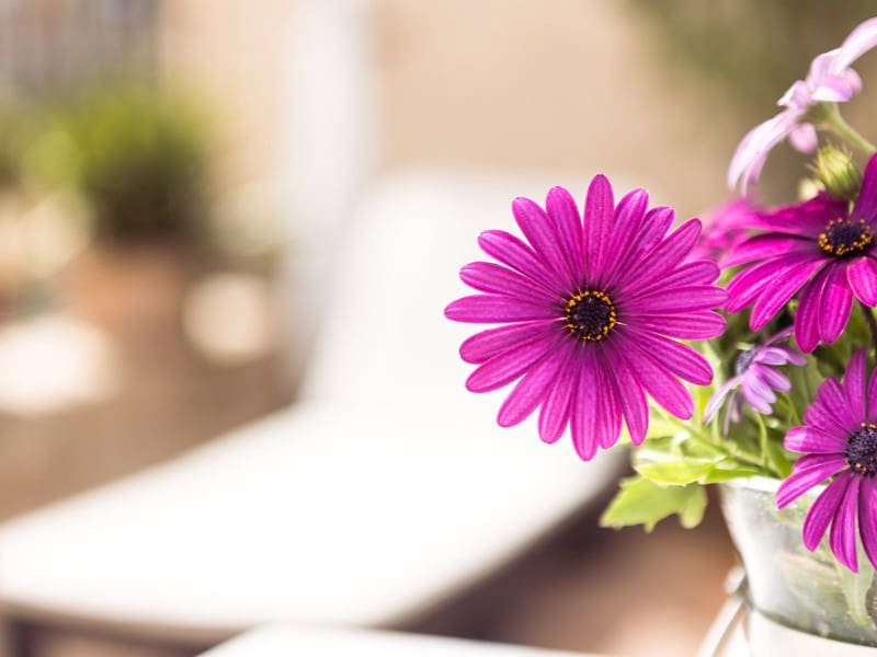 8 slaapkamer Villa te koop in Estellenchs - € 2.600.000 (Ref: 9571339)