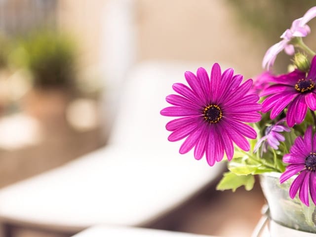 8 slaapkamer Villa te koop in Estellenchs - € 2.600.000 (Ref: 9571339)