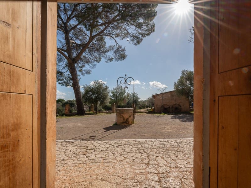 6 camera da letto Finca/Casa di Campagna in vendita in Establiments con piscina garage - 3.900.000 € (Rif: 9583033)