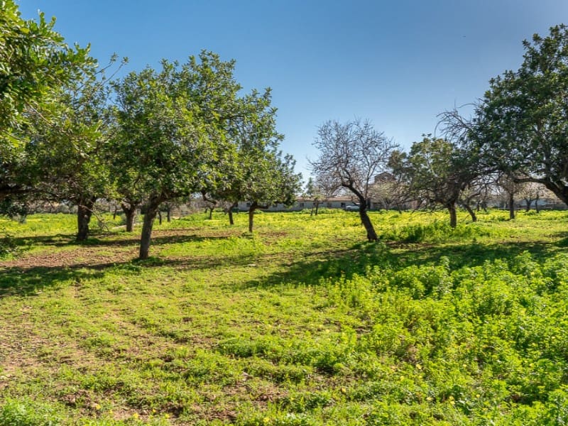7 chambre Finca/Maison de Campagne à vendre à Palma de Mallorca - 2 750 000 € (Ref: 9583034)