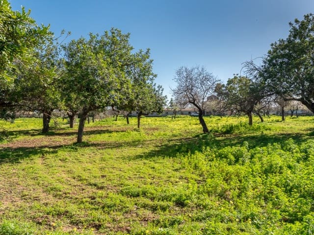 7 bedroom Finca/Country House for sale in Establiments - € 2,750,000 (Ref: 9583034)