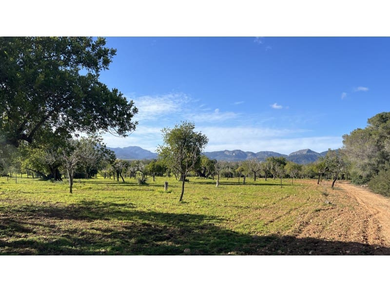 Undeveloped Land for sale in Es Garrovers - € 650,000 (Ref: 9583035)