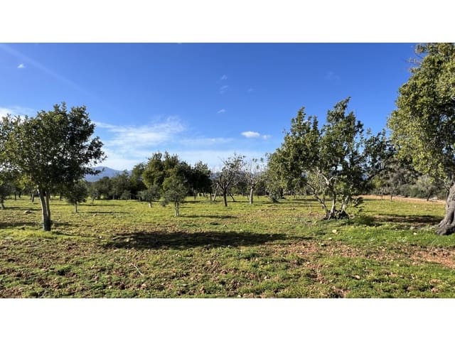 Undeveloped Land for sale in Es Garrovers, Marratxí - € 650,000 (Ref: 9583035)