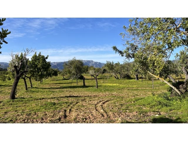 Undeveloped Land for sale in Es Garrovers, Marratxí - € 650,000 (Ref: 9583035)