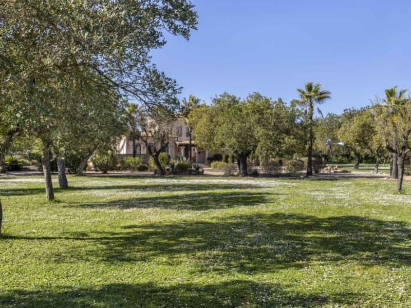 7 camera da letto Finca/Casa di Campagna in vendita in Santa Maria del Cami con piscina garage - 3.000.000 € (Rif: 9599454)