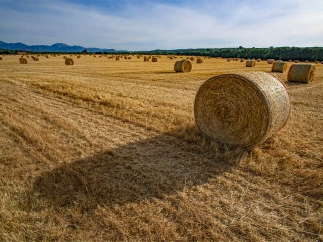 3 bedroom Villa for sale in Sineu with garage - € 490,000 (Ref: 9604904)