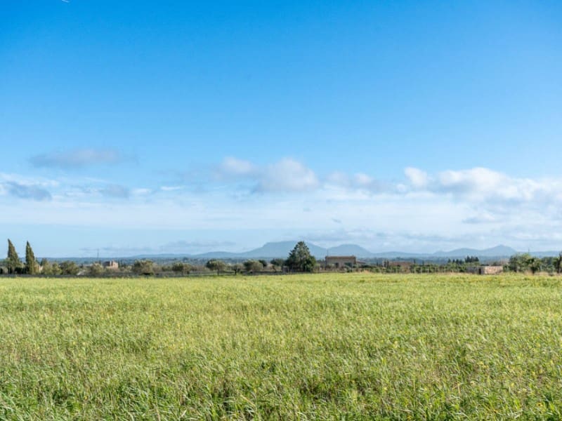 1 bedroom Finca/Country House for sale in Sencelles with pool - € 850,000 (Ref: 9611371)