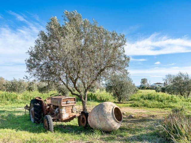 Undeveloped Land for sale in Sencelles - € 850,000 (Ref: 9611377)