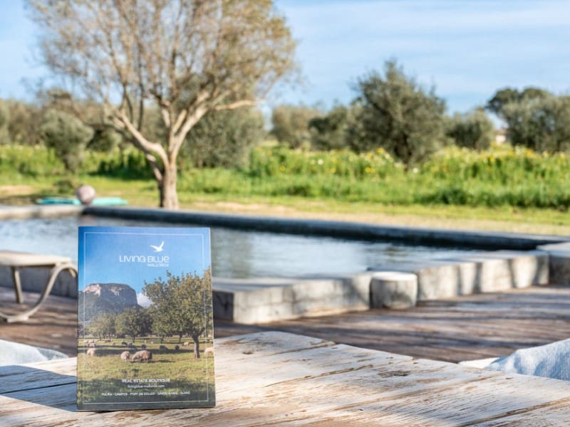 Undeveloped Land for sale in Sencelles - € 850,000 (Ref: 9611377)