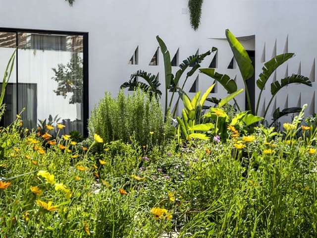 Chalet de 5 habitaciones en Santa María del Camí en venta con piscina garaje - 3.500.000 € (Ref: 9625848)