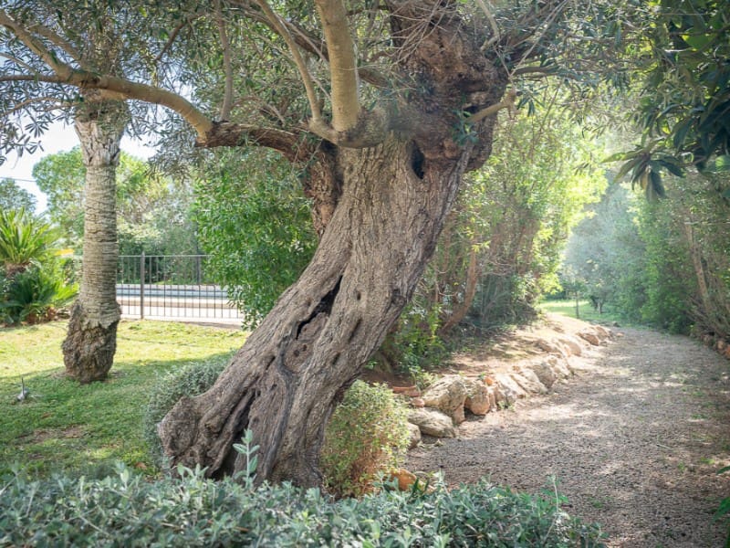 4 bedroom Finca/Country House for sale in Bunyola with pool - € 2,235,000 (Ref: 9630210)