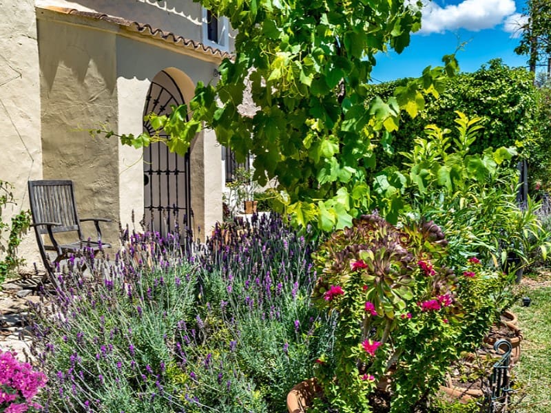 4 quarto Quinta/Casa Rural para venda em Bunyola com piscina - 2 350 000 € (Ref: 9630210)