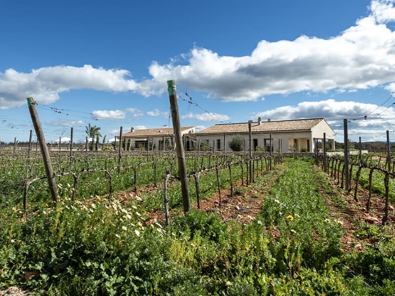 4 makuuhuone Maalaistalo myytävänä paikassa Sencelles mukana 
autotalli - 3 995 000 € (Ref: 9630212)