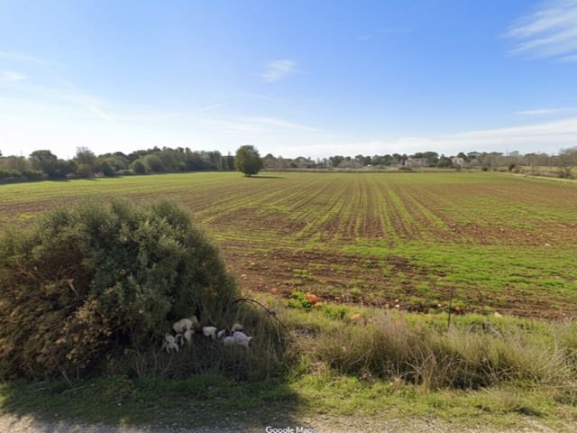 Undeveloped Land for sale in Sa Rapita / La Rapita, Campos - € 340,000 (Ref: 9637444)