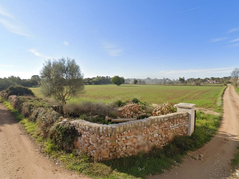 Undeveloped Land for sale in Sa Rapita / La Rapita - € 340,000 (Ref: 9637444)