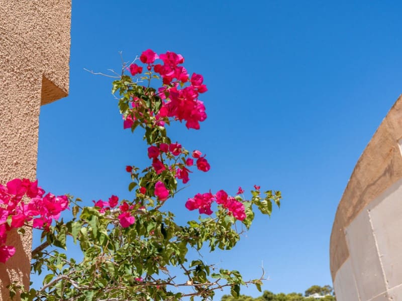 2 bedroom Apartment for sale in Canyamel - € 850,000 (Ref: 9648015)