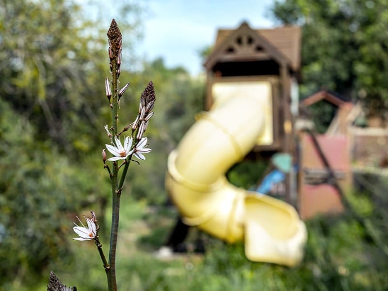 3 bedroom Finca/Country House for sale in Alaro with pool - € 960,000 (Ref: 9712113)
