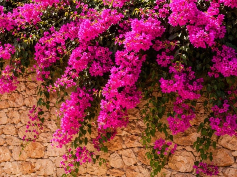 3 bedroom Villa for sale in Sineu with pool garage - € 985,000 (Ref: 9714840)