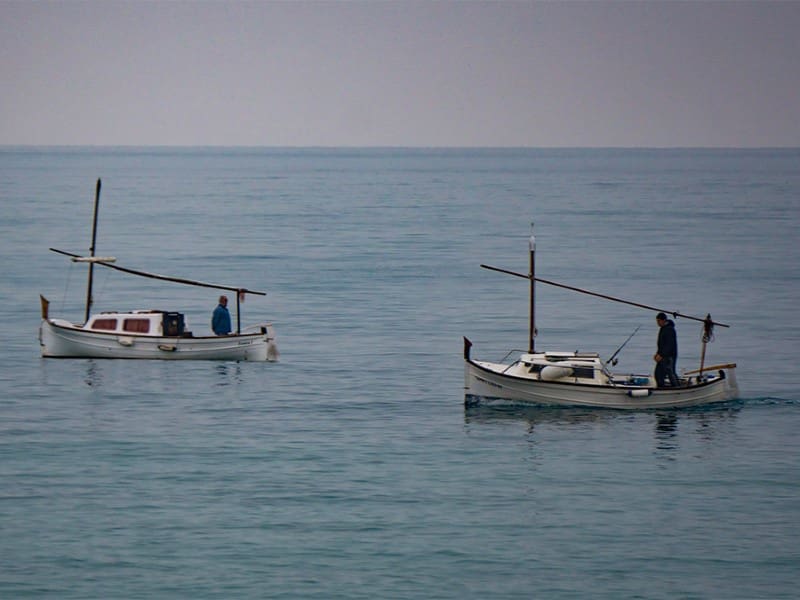 4 Zimmer Villa zu verkaufen in Muro mit Pool Garage - 1.550.000 € (Ref: 9719823)