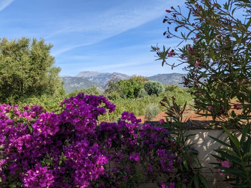 3 bedroom Finca/Country House for sale in Selva with pool - € 1,000,000 (Ref: 9721573)