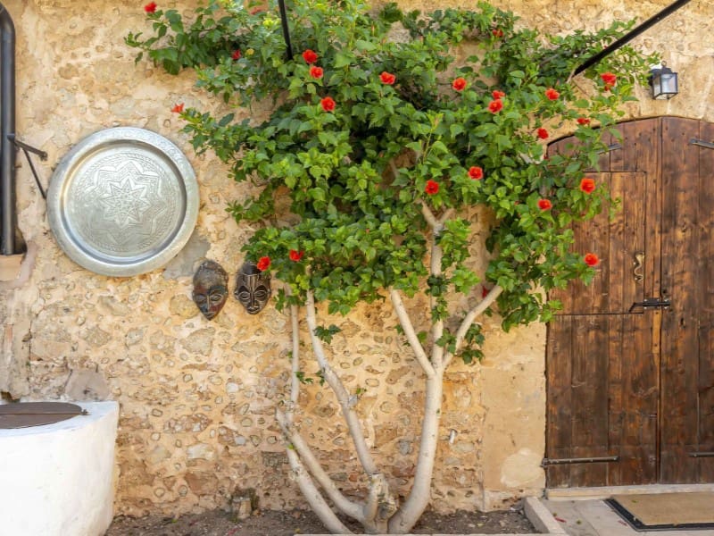 5 bedroom Finca/Country House for sale in Alaro - € 4,650,000 (Ref: 9729300)