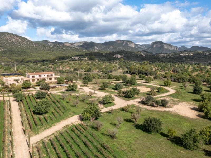 6 bedroom Finca/Country House for sale in Santa Maria del Cami with pool garage - € 14,900,000 (Ref: 9738476)