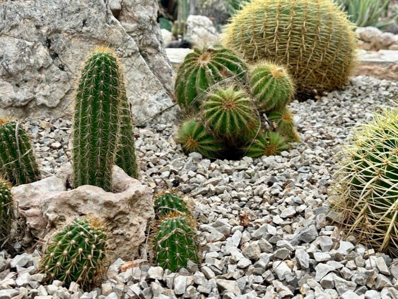 5 soveværelse Finca/Landehus til salg i Cala Santanyi med swimmingpool - € 1.895.000 (Ref: 9751915)