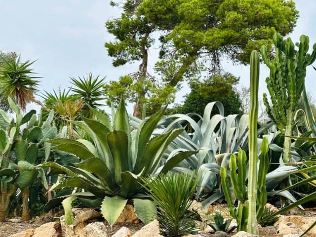 5 soveværelse Finca/Landehus til salg i Cala Santanyi, Santanyí med swimmingpool - € 1.895.000 (Ref: 9751915)