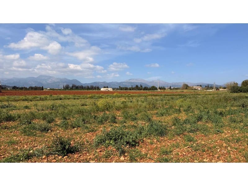 Terrain à Bâtir à vendre à Llubi - 1 200 000 € (Ref: 9755580)