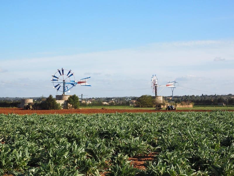 Terrain à Bâtir à vendre à Llubi - 1 200 000 € (Ref: 9755580)