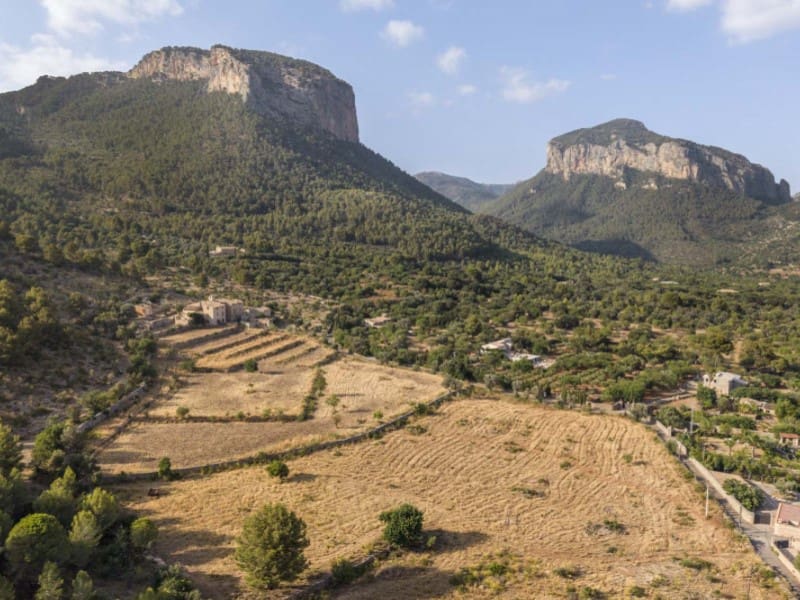 12 bedroom Finca/Country House for sale in Alaro with pool garage - € 14,500,000 (Ref: 9780452)