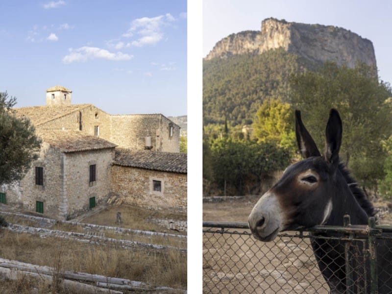 12 bedroom Finca/Country House for sale in Alaro with pool garage - € 14,500,000 (Ref: 9780452)