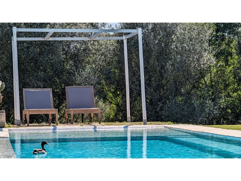 4 bedroom Finca/Country House for sale in Campos with pool - € 3,300,000 (Ref: 9785058)