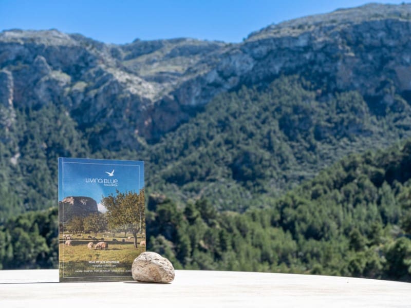 3 bedroom Finca/Country House for sale in Deia - € 1,990,000 (Ref: 9785059)