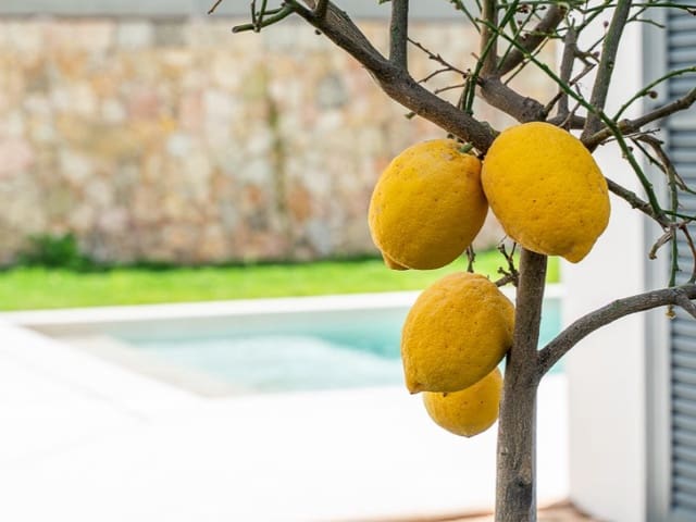 2 bedroom Apartment for sale in Playa de Palma, Palma de Mallorca with pool - € 1,675,000 (Ref: 9804218)