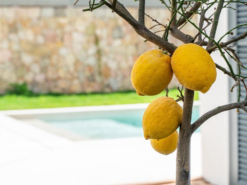 2 bedroom Apartment for sale in Playa de Palma with pool - € 1,450,000 (Ref: 9804219)