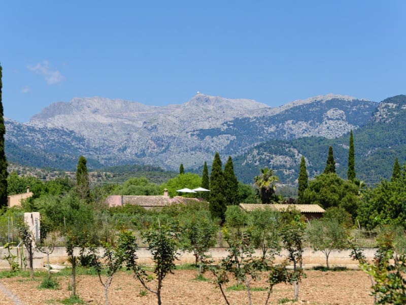 Finca/Casa Rural de 3 habitaciones en Binissalem en venta - 950.000 € (Ref: 9808118)