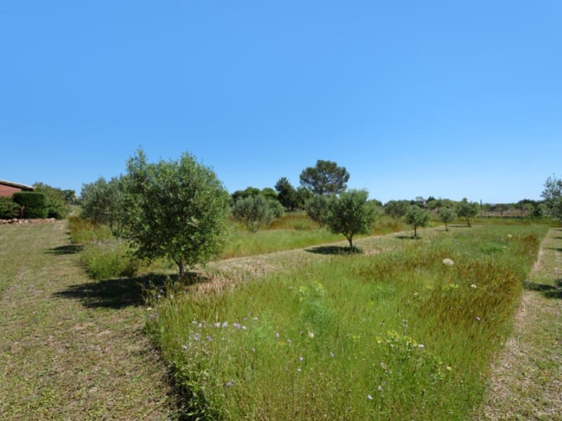 Finca/Casa Rural de 3 habitaciones en Binissalem en venta - 950.000 € (Ref: 9808118)
