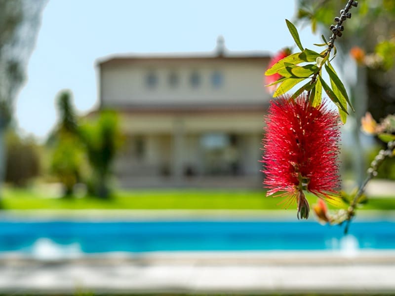 3 Zimmer Finca/Landgut zu verkaufen in Moscari mit Pool - 925.000 € (Ref: 9813795)