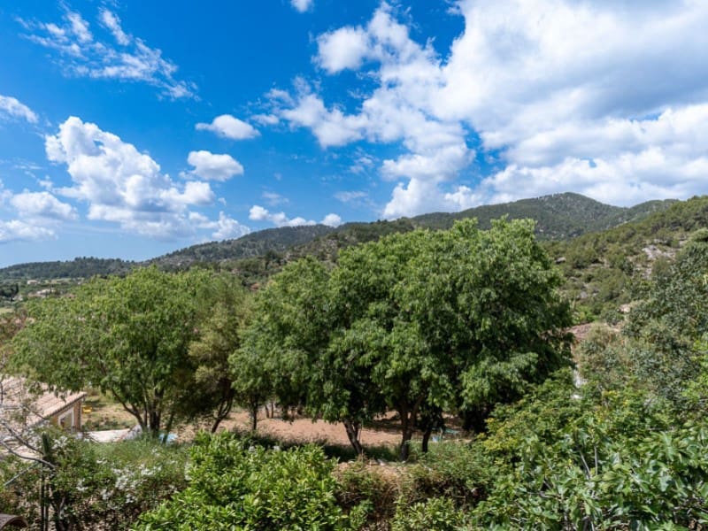 4 bedroom Villa for sale in Alaro - € 850,000 (Ref: 9826610)
