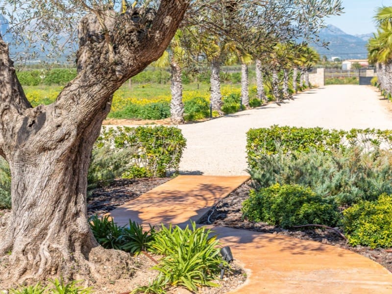 6 quarto Quinta/Casa Rural para venda em Santa Maria del Cami com piscina garagem - 6 800 000 € (Ref: 9836470)