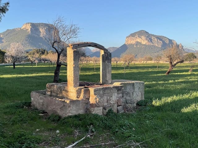 Terreno para Construção para venda em Alaró - 697 000 € (Ref: 9851602)