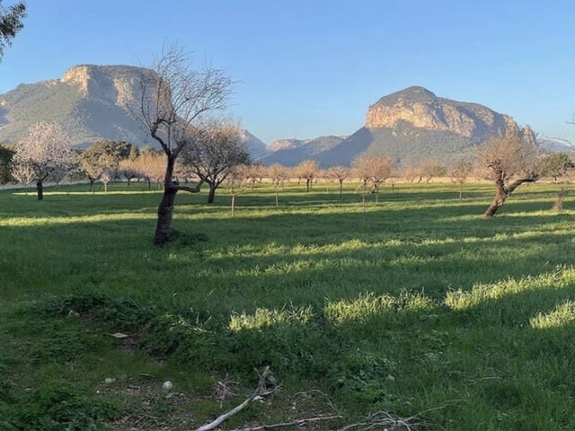 Tomt till salu i Alaró - 697 000 € (Ref: 9851602)