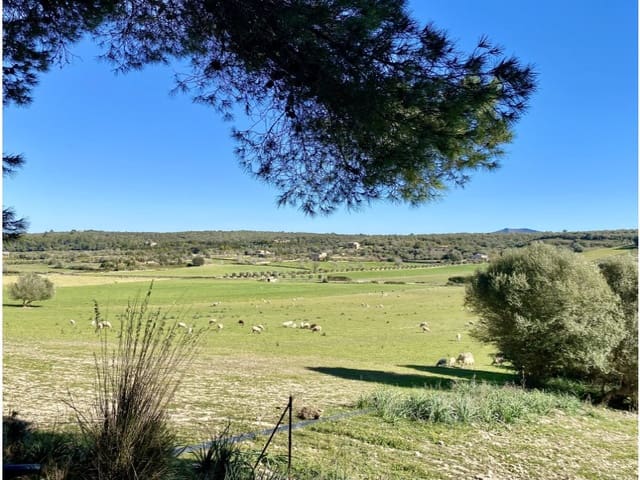 Building Plot for sale in Ariany - € 180,000 (Ref: 9879010)