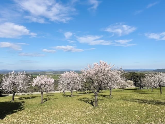 4 soveværelse Villa til salg i Sa Cabaneta / La Cabaneta, Marratxí med swimmingpool - € 1.290.000 (Ref: 9892500)