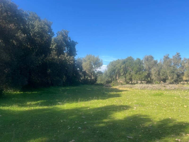 Terreno para Construção para venda em Porreres - 529 000 € (Ref: 9894144)