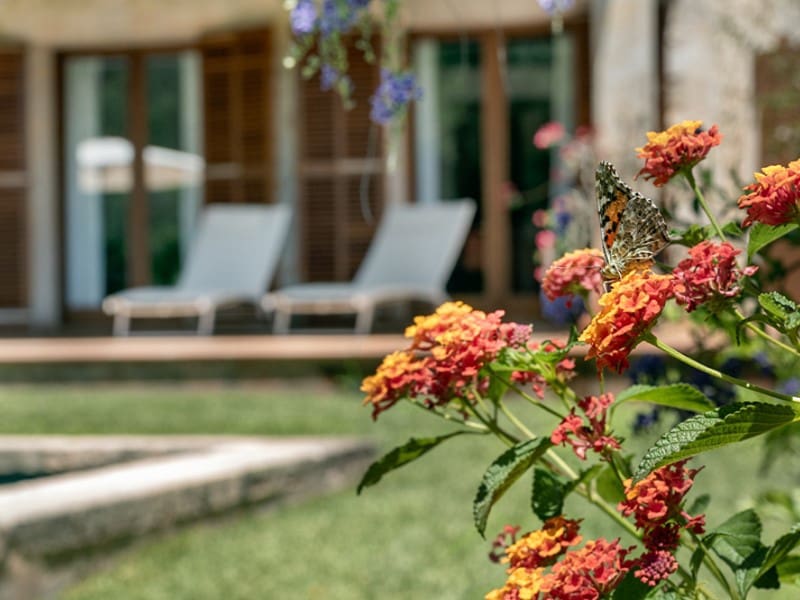 2 bedroom Finca/Country House for sale in Campanet with pool - € 1,000,000 (Ref: 9896611)