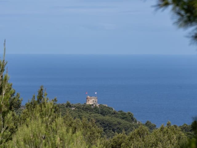 1 soveværelse Finca/Landehus til salg i Sóller - € 870.000 (Ref: 9904298)
